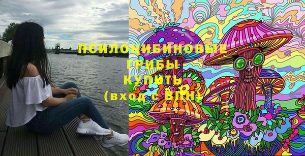 винт Няндома