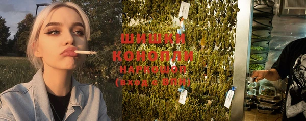 винт Няндома